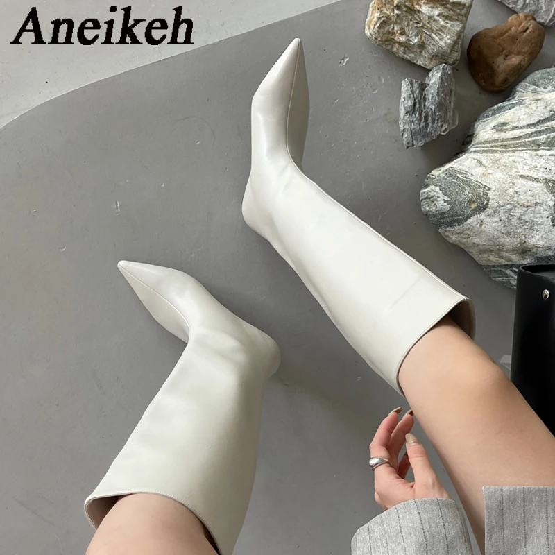 Knee High Boots Women - Aneikeh 2026 Mode Sexy Puntige Lage